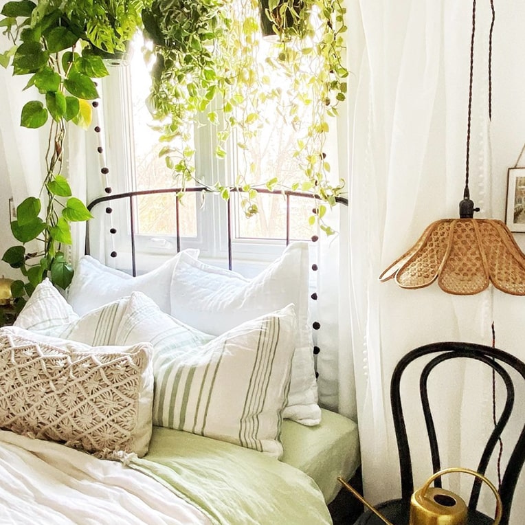 Hanging plants in outlet bedroom